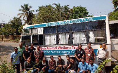 PET CLINIC ORGANIZED AT CARMEL COLLEGE, NUVEM, GOA