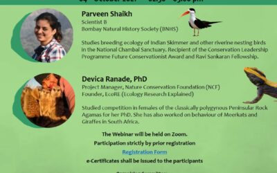 National Webinar on Women In Wildlife Research – Zoology Department