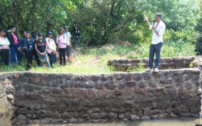 Mangroves Walk on World Animal Day